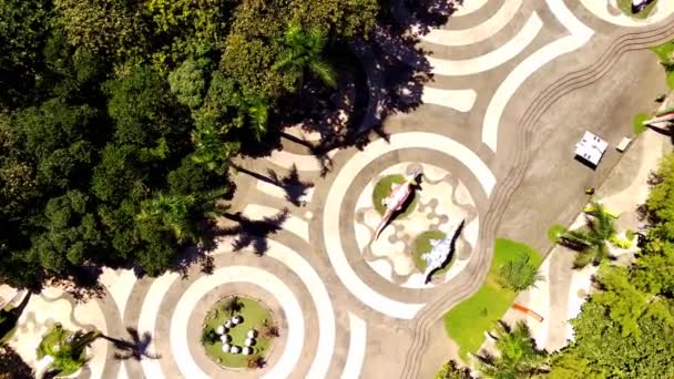Aerial Shot Krásný Městský Park Krásnými Vzory Podlahy Stromy Strukturovaný — Stock video