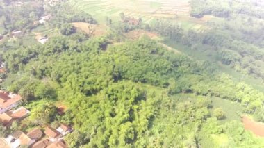 Köyün ortasındaki pirinç tarlalarının manzarası. Rancaekek, Bandung ve Endonezya 'daki yerleşim alanlarının havadan görünüşü. Yukarıdan. Tarım Endüstrisi. 4K Çözünürlükte Çekildi