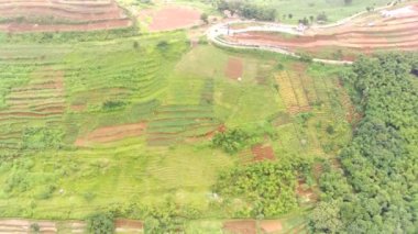 Valley Manzarasının Hava Görüntüsü. Bandung şehrinin sınırında geniş yeşil pirinç tarlaları olan Endonezya 'nın havadan görünüşü. Yukarıdan. Havadan manzaralar. 4K çözünürlük 30 Fps İHA videosu