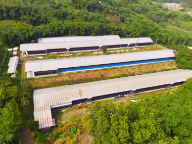 Mısır depolama ve işleme deposunun üst görüntüsü. Ağaçların ve ekinlerin ortasındaki deponun manzara manzarası. Hava fotoğrafçılığı. Yiyecek endüstrisi. Uçan bir İHA tarafından vuruldu.