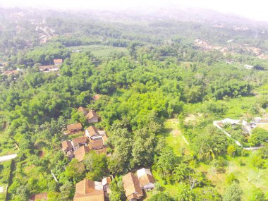 Kentin kenarındaki tropikal ormanın kuş bakışı görüntüsü, Batı Java Endonezya, Asya 'daki Bandung şehrinde su yakalama görevi gören orman. Doğal Manzara. Üst Manzara. Hava Görüntüsü