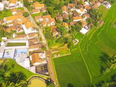 Bandung City, Endonezya 'daki pirinç tarlaları arasındaki köyün kuş bakışı görüntüsü. Kırsal kesimde pirinç tarlaları olan tarım arazisi. Tarım Alanı. Yukarıdan. Uçan bir İHA tarafından vuruldu. 