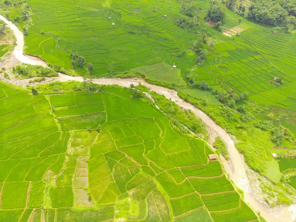 View of local Farm at the top of the hill. Aerial view of rice fields and plantations in Cicalengka, Bandung - Indonesia. Above. Agriculture Industry. Shot in drone flying 100 meters