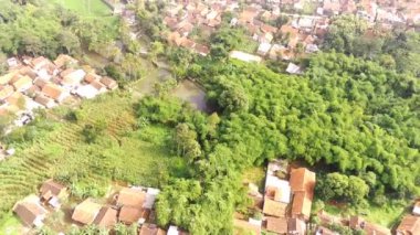 Kırsaldaki yemyeşil ağaçların hava görüntüsü. Köyün çevresinde tropik bir orman gibi büyüyen ağaçların manzarası. Odun endüstrisi. Yukarıdan. Tropik ormanlar. 4K Video Çözünürlüğü 30 Fps