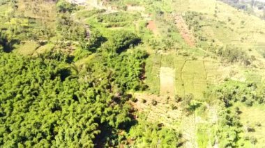 Maden tepesi yakınlarındaki orman ve plantasyonların havadan videosu. Madencilik, dağda yaşayan canlıların ekosistemini yok eder. İnşaat endüstrisi. Madencilik endüstrisi. 4k Görüntü Çözünürlüğü