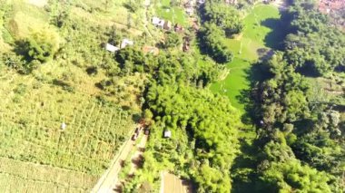Maden tepesi yakınlarındaki orman ve plantasyonların havadan videosu. Madencilik, dağda yaşayan canlıların ekosistemini yok eder. İnşaat endüstrisi. Madencilik endüstrisi. 4k Görüntü Çözünürlüğü