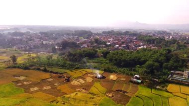 Pirinç tarlasından arta kalanları yakan hava sineması videosu. Kalan pirincin yakılması pirinç hasat döneminden sonra yapılır. Tarım Endüstrisi. Tarım faaliyetleri. Kamera 4k Çözünürlüğü