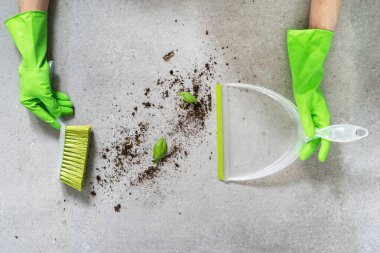 Yeşil lastik eldivenli kadın ellerinin üst görüntüsü evdeki toprak çöpünü süpürge ve plastik faraş ile temizler, kırpılmış atış, ev işi konsepti