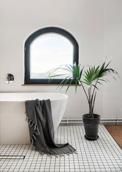 Jasně Bílá Koupelna Oknem Elegantní Bytový Dekor Květináč Květináči Textilní — Stock fotografie