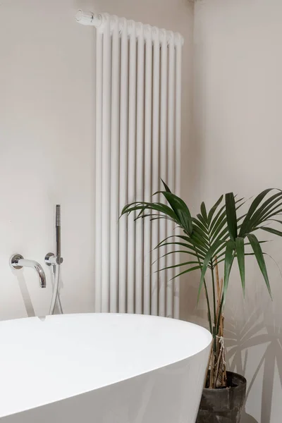 Weißes Badezimmer Mit Gemütlichem Interieur Neue Silberne Sanitär Leeres Bad — Stockfoto