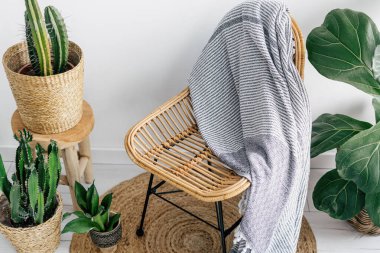 Sıcak oturma odasındaki hasır koltukta yumuşak ve ılık ekose manzaralı. Yeşil saksı bitkileri örülmüş halı üzerinde rahat bir evde Boho şık iç tasarım ile