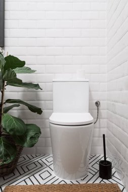 front view on modern wc bowl with water tank and closed lid on white brick tile background, potted plant, carpet and toilet brush on floor in restroom at stylish apartment