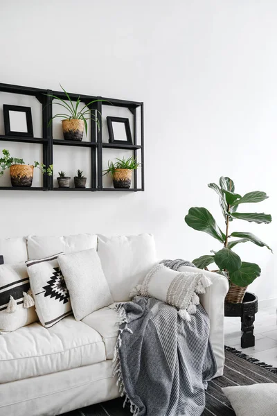 舒适的客厅 室内环境舒适 舒适的沙发 柔软的枕头和格子花 旁边的桌子 柳条篮里有植物 墙上挂着装饰的黑色金属架子 — 图库照片