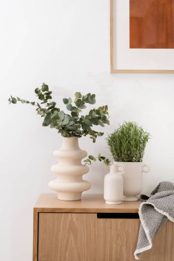 Modern vazodaki okaliptüs dallarının, ev bitkisinin ve havlunun, oturma odasındaki ahşap çekmecelerin, iç dekorasyonun ve ev dekorasyonunun yakın çekimi.