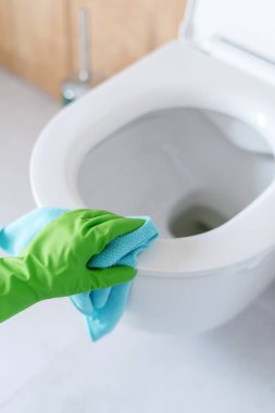 Tuvalette beyaz klozet kapağını temizleyen mavi bir mikrofibri olan yeşil lastik eldivenli el görüntüsü. Kapak açık. Hijyen kavramı