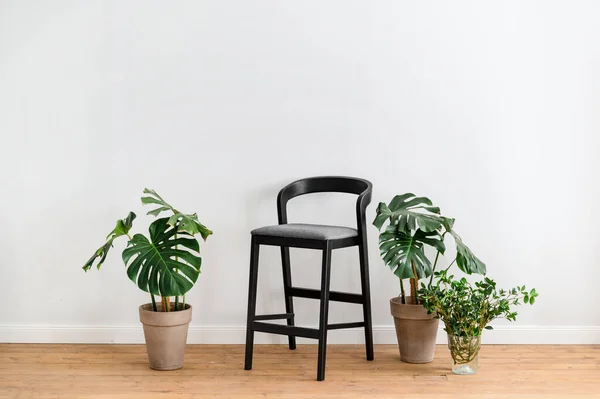 Kényelmes Fekete Szék Közel Zöld Ház Növények Kerámia Virágcserépben Áll — Stock Fotó