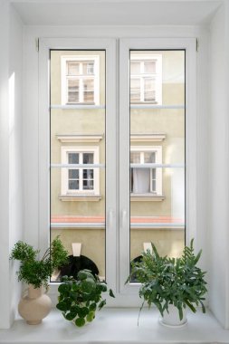 Ev odasına şeffaf cam ve beyaz çerçeveli yeni pvc pencerenin dikey görüntüsü. Saksılarda yeşil bitki ve yatak odasındaki seramik vazoda dallar. Ev dekorasyonu kavramı