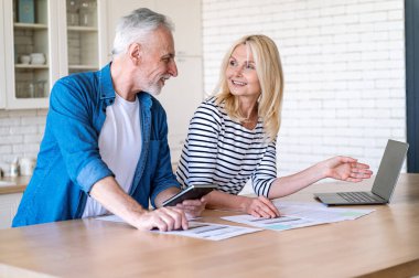 Olgun eş ve koca belgeleri vergi, emekli aylığı tasarrufu ve iç faturalarla kontrol ediyor. İnternetten ödeme yapıp aile bütçesini tartışıyoruz. Yeni ev ya da araba almak için fon hesaplanıyor.