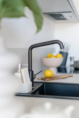 Su musluğu ve granit lavabonun bitki yaprağı ön planında bulanık mutfak arka planında seçici bir odak noktası. Detaylar iç kısımda, modern siyah musluk üzerine seçici bir odaklanma. Çağdaş tesisat