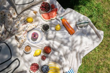 Çimlere yayılmış bir piknik battaniyesi, dekoratif yastıklar, karpuz, böğürtlen, tatlı yiyecek ve diğer atıştırmalıklar yeşil bahçe çimlerine serilmiş.