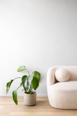Büyük bir ev bitkisi ahşap zeminde, yuvarlak yastıklı rahat bir kanepenin yanında oturur. Oturma odasındaki kanepe arka plandaki fotokopi duvarına karşı. İç kompozisyon, apartman tasarımı