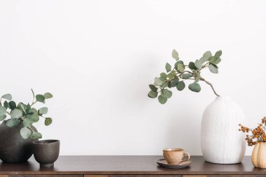 Ahşap rafta minimalist kompozisyon ve oturma odasında dekorasyon. Seramik vazoda okaliptüs bitkisi, bir fincan kahve ve klozette özel aksesuarlar. natürmort, mutfak içi.