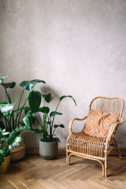 Rattan sandalyesi, desenli bir duvara karşı saksı bitkileriyle oturma odasında oturuyor. Konforlu iç tasarım elementi ve boho tarzı mobilyalar dairede. Ahşap zemin sıcacık estetiğe ekleniyor.