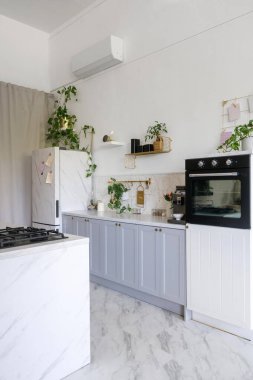 Gri dolaplar, ev aletleri ve raflardaki yumuşak, doğal ışıkla aydınlatılmış dekoratif bitkilerin yer aldığı dikey çekimler ya da beyaz stil mutfak. Dolapta fırın ve buzdolabı var.