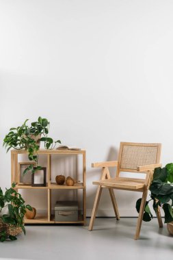 Ahşap bir sandalye ve raf çeşitli ev dekorları ve iç mekandaki parlak minimalist bitkilerle tamamlanır. Rahat ve huzurlu yaşamak için klasik bambu mobilyalarla dolu rahat bir oda.