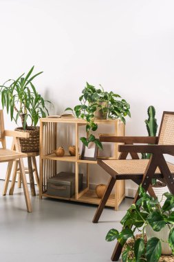 Kapalı bir mekanda ahşap sandalyeler ve ev dekoru ve saksı bitkileriyle dolu şık bir raf sergilenerek sakin bir atmosfer yaratılıyor. Ev bitkileriyle dolu Rattan koltuğu, dikey çekim