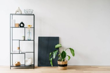 Dekoratif nesnelerle dolu siyah metal raf minimalist bir fotokopi duvarının karşısında duruyor. Ahşap zeminde saksı bitkisi ve soyut tablo, apartmanda huzurlu bir atmosfer yaratıyor.