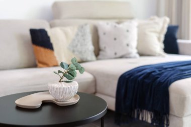 Modern oturma odası, çeşitli dekoratif yastıklarla süslenmiş, rahat bir yatak fırlatma ve evde sıcak ve rahat bir atmosfer yaratan, eşsiz bir kahve masası üzerindeki dekoratif bir bitki.