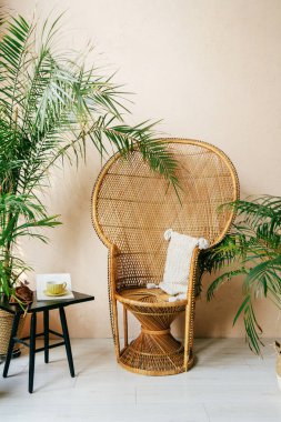 Parlak bir odada, yemyeşil bitkiler aksanlı, rahat bir rattan sandalye oturmaktadır. Dekor, basitlikle oturma odasındaki doğal elementleri bohem tarzıyla birleştiriyor.