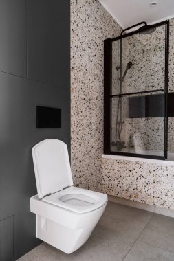 Bu çağdaş tuvalet, siyah çerçeveli duş alanına bitişik parlak beyaz bir tuvalet sergiliyor. Minimalizmi açık tonlu bir dekorla harmanlıyor..