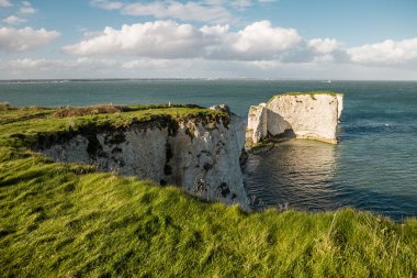 Dorset, İngiltere 'deki Harry Rocks. Kıyı bölgesinin havadan panoramik görüntüsü. Beyaz kayalıklar. İngiliz turist eğlencesi. Kumsalda güneşli bir gün. Beyaz iğneler ve deniz manzarası