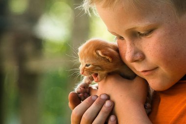 Elinde kızıl bir kedi yavrusu tutan sevimli bir çocuk. Kırmızı evcil hayvan çilli çocukların yüzüne yakın. Evcil hayvanlı çocuk. Doğum günü hediyesi.