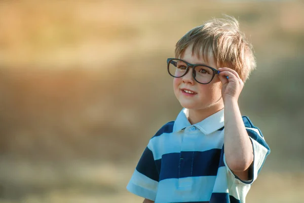 一个戴着眼镜的可爱的4岁小男孩的户外肖像 聪明的小孩又回到了小学 准备接受教育的幼儿园儿童 — 图库照片