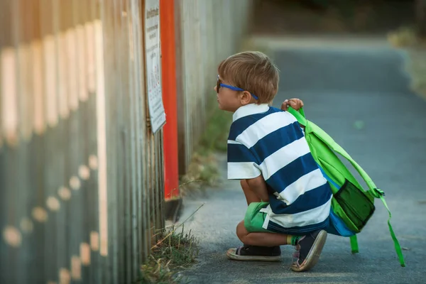 Criança Escola Primária Ler Alegremente Rapaz Usar Óculos Escola Conceito — Fotografia de Stock