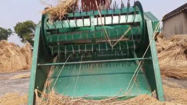 Bir çiftçi çeltik harman makinesi kullanıyor. Bu ayakla çalışan bir makine. Çiftçilerin tarım sektörüne makineler girdiği için çok rahatlamış durumdalar. Hintli çiftçi. 