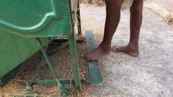 農家は水田用の脱穀機を運営している 足で操作する機械です 農家は農業部門の機械導入から多くの救済を得ています インドの農家 — ストック動画