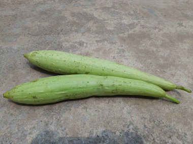 Sünger kabağı. Luffa silindiri, Mısırlı salatalık, Vietnam luffası, Güney ve Güneydoğu Asya 'ya özgü meyveleri için yetiştirilen yıllık bir üzüm türüdür..