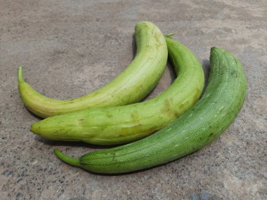 Sünger kabağı. Luffa silindiri, Mısırlı salatalık, Vietnam luffası, Güney ve Güneydoğu Asya 'ya özgü meyveleri için yetiştirilen yıllık bir üzüm türüdür..