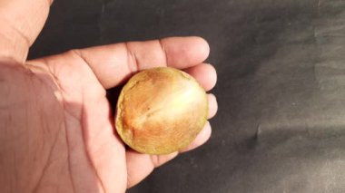 Manilkara zapota meyveleri. Diğer isimleri apodilla meyveleri, sapote, chicozapote, chico fruit, chicle fruit, naseberry ve nispero. Popüler ve lezzetli meyveler.. 