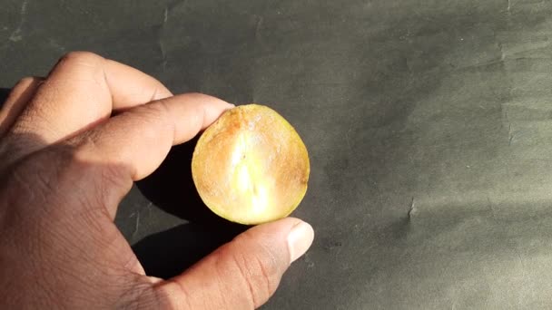 Manilkara Zapota Fruits Its Other Names Apodilla Fruits Sapote Chicozapote — Stock Video