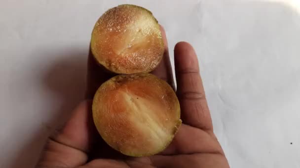 Manilkara Zapota Fruits Its Other Names Apodilla Fruits Sapote Chicozapote — Stock Video