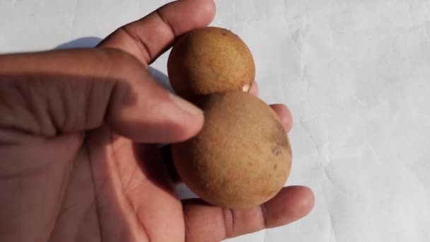 Καρποί Manilkara Zapota Άλλα Του Ονόματα Είναι Apodilla Fruits Sapote — Αρχείο Βίντεο