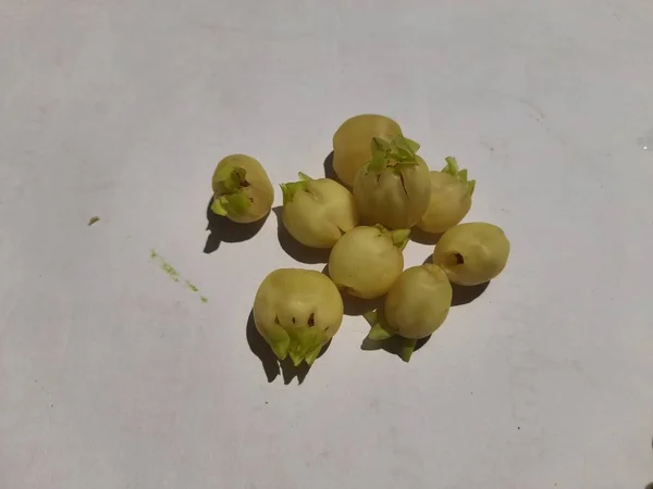 Madhuca Longifolia Floare Face Parte Dintr Aliment Tradițional Indian Vinul — Fotografie, imagine de stoc