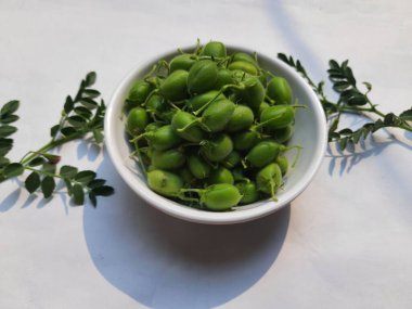 Taze yeşil nohut kabuğu. Nohut, Fabaceae ailesinin yıllık adıdır. Nohut çekirdekleri yüksek proteinlidir. Diğer adı Bengal gram, garbanzo, garbanzo fasulyesi, Mısır bezelyesi. gram kapsülü.