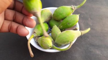 Madhuca Longifolia meyveleri. Geleneksel Hint yemeğinin bir parçası. Diğer adı: mahuka, mahuwa, mahua, mahwa, mohulo, Iluppai ve vippa chettu. Yaz mevsiminde bulunur..
