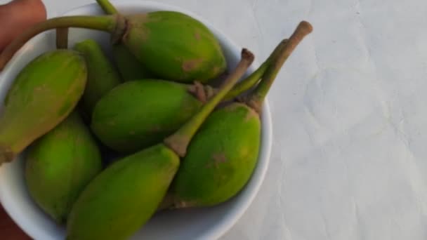 Madhuca Longifolia水果 它是印度传统食品的一部分 它的其他名称有 Mahuwa Mahuwa Mahwa Mohulo Iluppai和Vippa Chettu — 图库视频影像